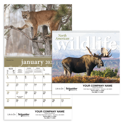 North American Wildlife